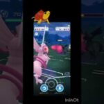 ベテランをかけた戦い⋯