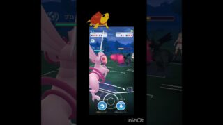 ベテランをかけた戦い⋯