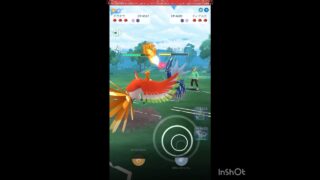 珍しいパーティーとの遭遇👀