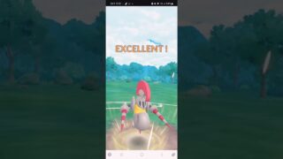 ハイパーリーグ バトルパフォーマンス 芸術性の頂点