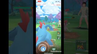 色違いニンフィアと対戦してみた💕