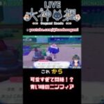 可愛すぎて悶絶！？ 青い瞳のニンフィア