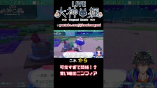 可愛すぎて悶絶！？ 青い瞳のニンフィア