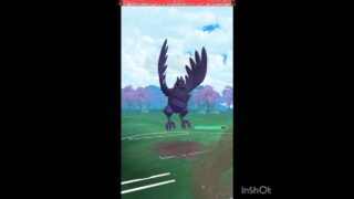 オーマイガー😱