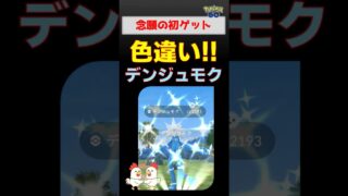 歓喜!!【色違い！デンジュモク】デンジュモク色違い出現！少人数レイド2人討伐の対策と念願の色違い初ゲットの瞬間！