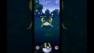 Catching a RARE SHINY Krabby! (CP 534) | Pokemon GO Pure Gameplay 4K #Shorts
