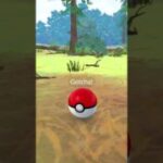Flittle in Pokémon Go! #pokémon #pokémongo #pokemoncommunity