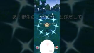 【ポケモンGO】 オタマロ（色違い） 捕獲動画！！