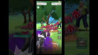 【ポケモンGO】速成カップ　ど真ん中に木が映えてるんですが⁉︎気になる木
