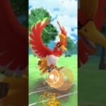 ポケモンGO 通常マスターリーグ ホウオウ、ザシアン(剣の王)、ゼクロム