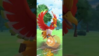 ポケモンGO 通常マスターリーグ ホウオウ、ザシアン(剣の王)、ゼクロム