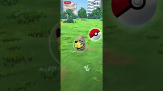 #ポケモンGO チョボマキ　色違い