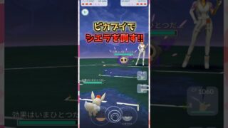 ピカチュウとイーブイでシエラと対戦!!【ポケモンGO】