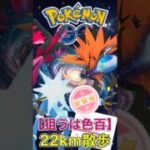 【番外編】とある日のポケ活【ポケモンGO】