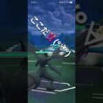 ポケモンGO 通常マスターリーグ カイオーガ、色Bキュレム、ゼクロム
