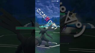 ポケモンGO 通常マスターリーグ カイオーガ、色Bキュレム、ゼクロム