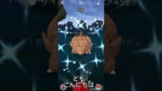【ポケモンGO】猫もびっくりな保護色色違い　#ポケモン #ポケモンgo #色違い  #shorts