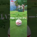ポケモンGO 色違いフェローチェ出現！ #ポケモン #pokémon