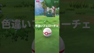 ポケモンGO 色違いフェローチェ出現！ #ポケモン #pokémon