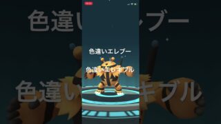 ポケモンGO 色違いエレブーをシンオウの石で色違いエレキブルへ進化！ #ポケモン #pokemongo