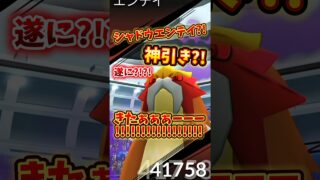 シャドウエンテイ?!神引き?!遂に?!?!きたぁぁぁーーー!!!!!!!!!!!!!!!!【ポケモンGO/心壊ヤミ】 #心壊ヤミ #sinkaiyami #ポケモンgo