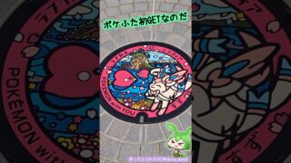 【ポケGO】ポケふたGETなのだ！「ラブカス＆ニンフィア」