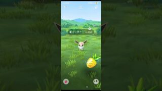 【ポケモンGO】お花色違いイーブイ【スマホゲーム】#ポケモンGO #ポケモン #スマホゲーム #ゲーム #pokemongo #pokemon #game #shorts