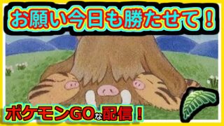 【ポケモンGOな配信】昨日の流れはもう来ないかもしれない！！ジャングルカップ編【GOバトルリーグ】＃ポケモンGO　＃GOバトルリーグ