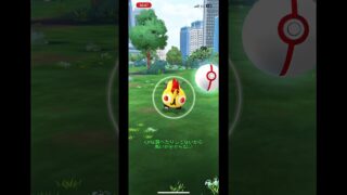 初のスーパーメガレイド参加！【無課金最強を目指すポケモンGOPart1】#ポケモンgo #pokemon #pokemongo #pokémon #youtubeshorts #youtube