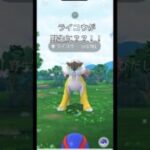 【ポケモンGO】ライコウが野生に？？！！！#ポケモンgo #ポケモン #ライコウ