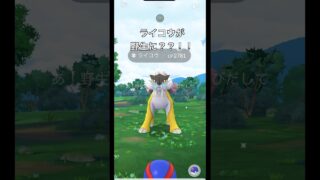 【ポケモンGO】ライコウが野生に？？！！！#ポケモンgo #ポケモン #ライコウ