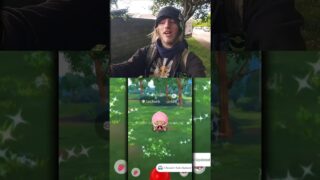 ✨️I Caught a SHINY LECHONK In Pokémon GO!✨️ #pokemon #pokemongo #shorts
