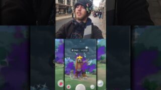 ✨️I Caught a SHINY SHADOW ENTEI In Pokémon GO!✨️ #pokemon #pokemongo #shorts