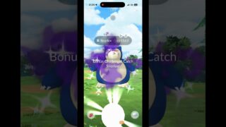 🤯 I FINALLY Got The Shadow Shiny Snorlax! ✨ #PokemonGo #Pokemon #ShinyPokemon #PokemonFan #Snorlax