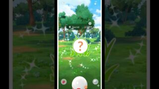 I was not Expecting it To Shine ✨😱 | Pokemon Go |