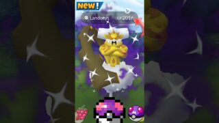 OMG✨️Shiny Shadow Landorus From🤣Temu in Pokemon Go