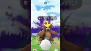 [PokemonGO] シャドウエンテイレイドデイ 無課金色違いゲット！ #ポケモンgo