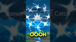 🔥RARE HUNDO 💯 & CRAZY SHINY LUCK! 👀 Pokémon GO! #pokemongoshorts #pokemongolive #pokemongo