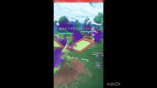 Sフライゴン‼️‼️‼️
