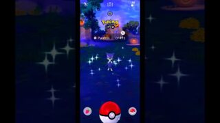 SHINY PURRLOIN ENCOUNTER! (INSANE LUCK) ✨ | Pokemon GO #Shorts