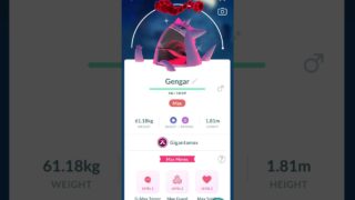 Shinies Only Mad Out Monday!!! Shiny Gigantamax Pokemon Upgrades!!! #pokemongo #shinypokemon