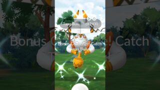 ✨ Shiny Tapu Bulu from raids ✨     #pokemongo
