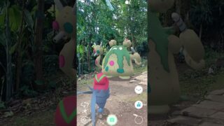 Swift Vs Forgotten Pokemon #367 #pokemon #ポケモン