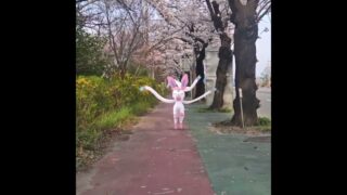 님피아 ( Sylveon ) ニンフィア ( 仙子伊布 )