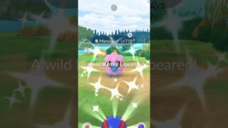 ✨The Double SHINY STREAK LIVES In Pokemon Go!!!✨ #shorts #pokemon