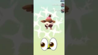 🔥WILD AZELF, 2 GALARIAN BIRDS & SHINY HATCH😱👀 Pokemon GO! #pokemongolive #pokemongoshorts