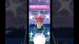 色違いギャラドス❣️ #ポケモンgo #ポケモン
