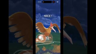 フレ戦たのしー！#ポケモンgo #スーパーリーグ