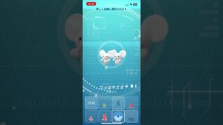 ポケモンgo 色違いワッカネズミゲットチャレンジ　色違いイッカネズミ