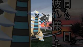 初心者のボックス紹介！ #ポケモンgo